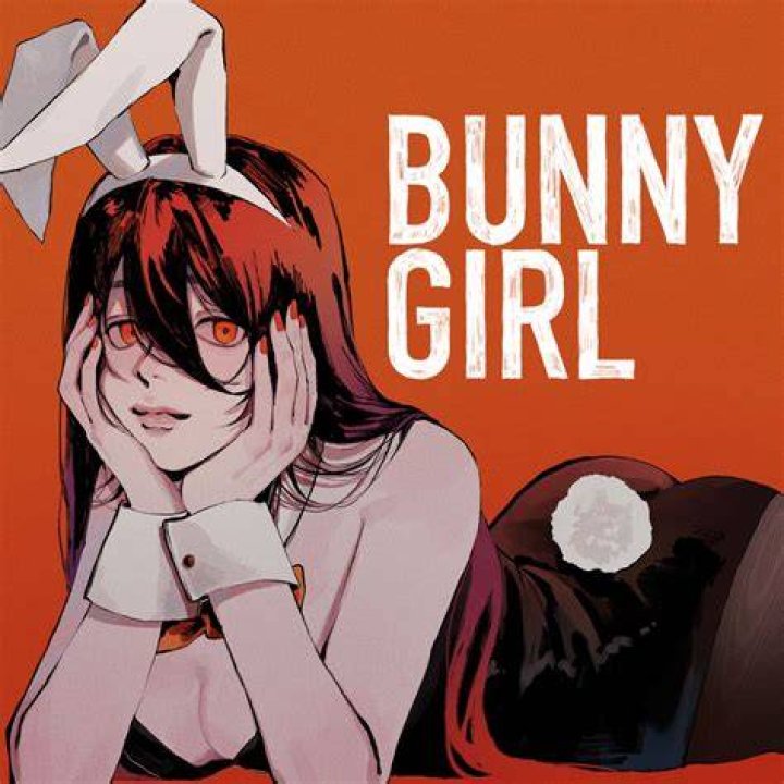 Bunny Girl Akasaki Lyrics: A Comprehensive Dive into the Song's Meaning and Impact