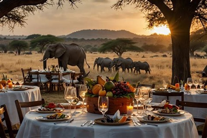 Cooking with Safari: A Unique Culinary Adventure in the Wild