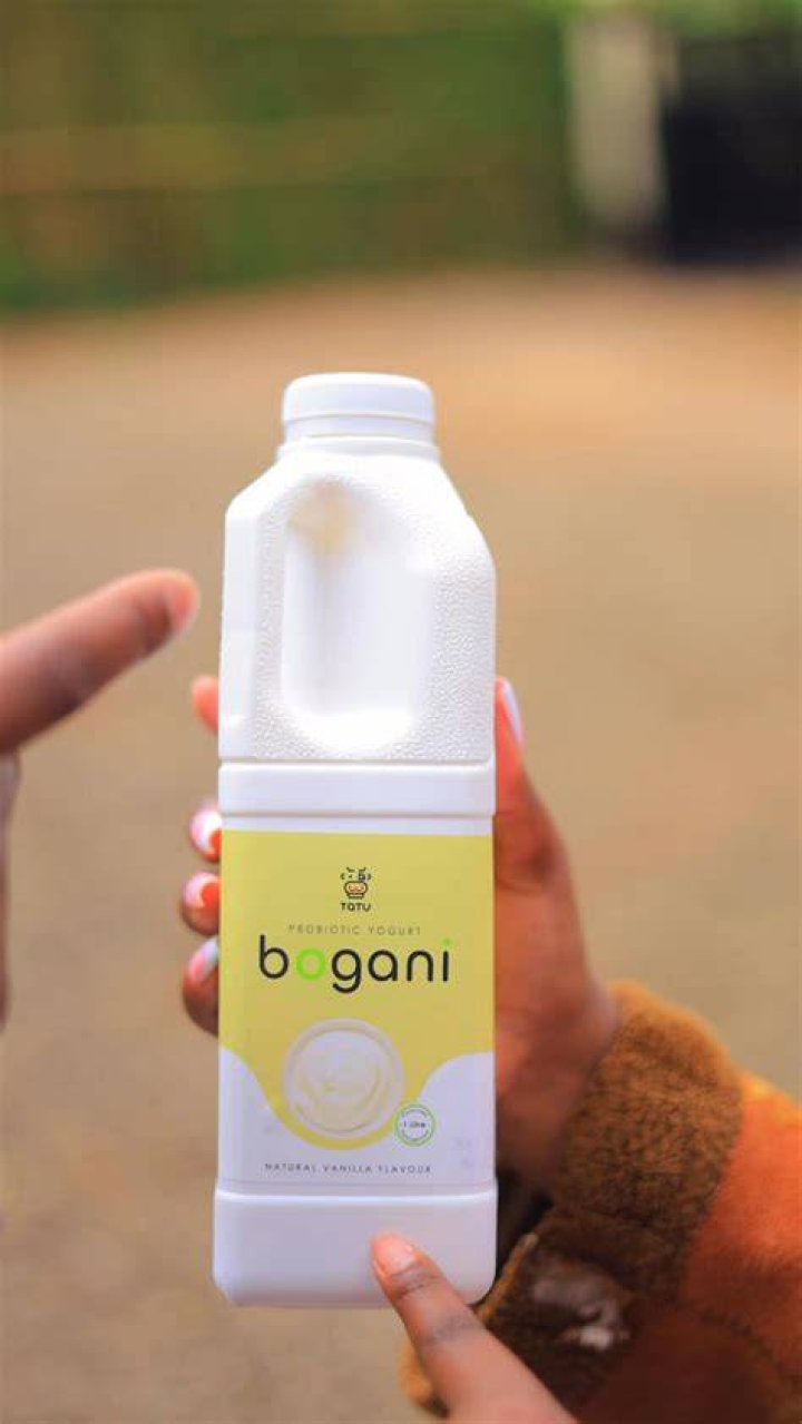 Dry Yogurt: A Revolutionary Way to Enjoy Probiotic Goodness