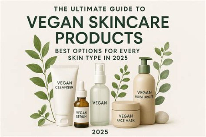 Vegamoveis: Your Ultimate Guide to Vegan Moving Solutions