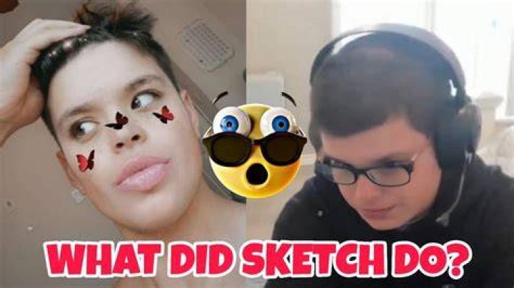What Did Sketch Do That Was Bad? Exploring the Controversies and Criticisms